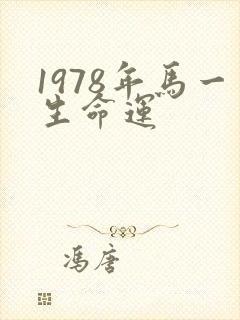 1978年马一生命运封面