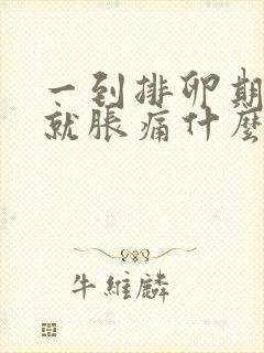 一到排卵期小腹就胀痛什么原因