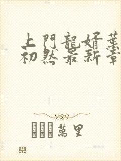 上门龙婿叶辰萧初然最新章节免费阅读