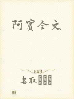 阿宾全文