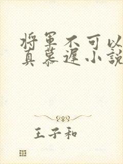将军不可以魏云真慕迟小说笔趣阁