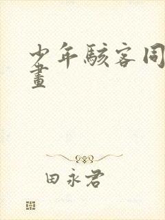 少年骇客同人动画