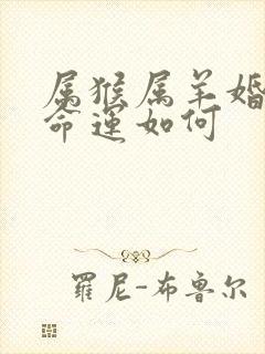 属猴属羊婚姻与命运如何