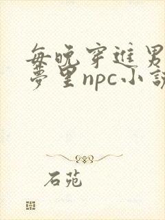 每晚穿进男神的梦里npc小说