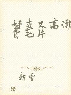 好爽又高潮了免费毛片