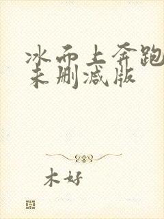 冰面上奔跑的人未删减版