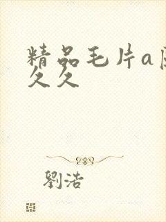 精品毛片a区久久久