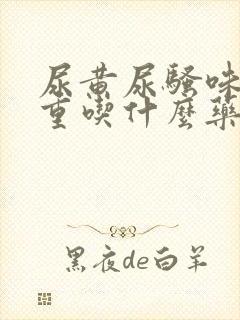 尿黄尿骚味特别重吃什么药