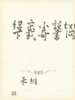 绍宋小说txt下载奇书网