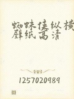 蜘蛛侠纵横宇宙壁纸高清