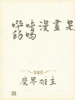 哔咔漫画是正经的吗