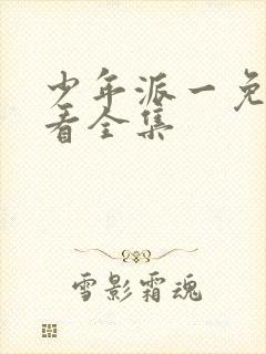 少年派一免费观看全集