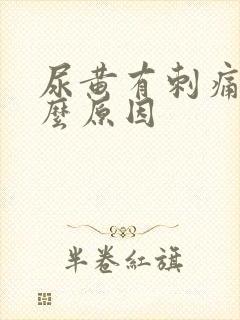 尿黄有刺痛感什么原因