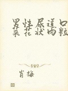 男性尿道口长出菜花状肉粒