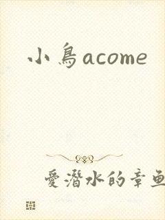 小鸟acome封面