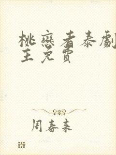 桃恋者泰剧双男主免费