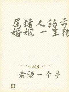 属猪人的命运 婚姻 一生概况