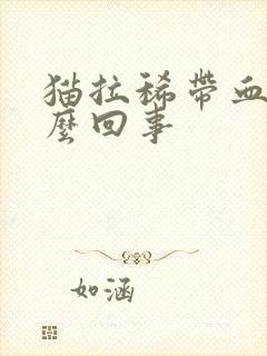 猫拉稀带血是怎么回事