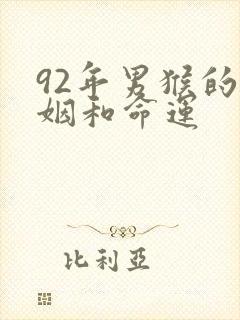 92年男猴的婚姻和命运封面
