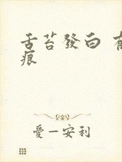 舌苔发白 有齿痕