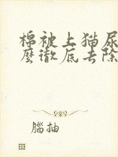 棉被上猫尿味怎么彻底去除