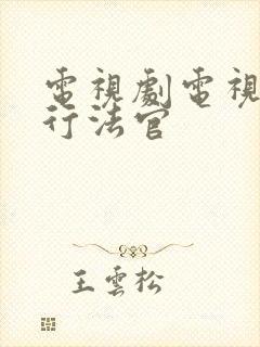 电视剧电视剧执行法官