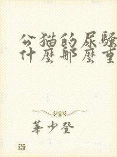 公猫的尿骚味为什么那么重