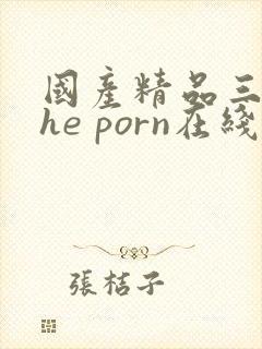 国产精品三级the porn在线观看