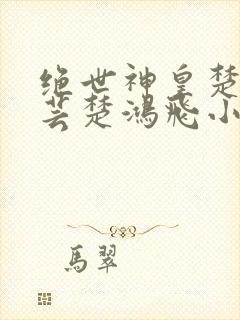 绝世神皇楚风楚芸楚鸿飞小说