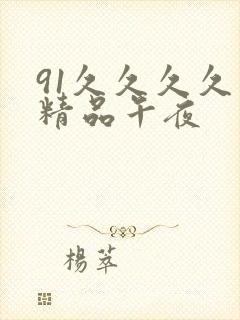 91久久久久久精品午夜封面