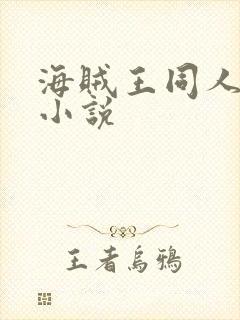 海贼王同人高h小说封面