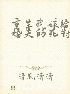 重生我嫁给了未婚夫的死对头txt