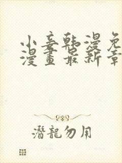 小妾韩漫免费看漫画最新章节