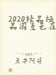 2020精品极品国产色在线,