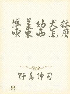 博美幼犬拉稀不吃东西怎么办