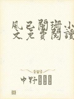 风已阑珊小说全文免费阅读最新章节