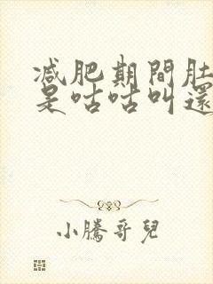 减肥期间肚子老是咕咕叫还放屁