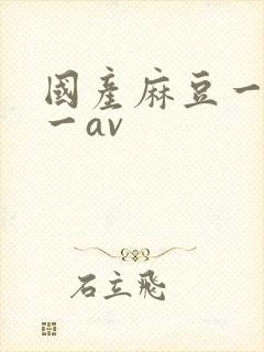 国产麻豆一精品一av