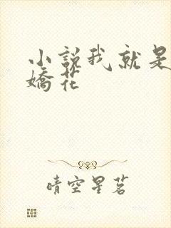 小说我就是如此娇花