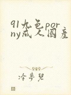 91九色porny成人国产