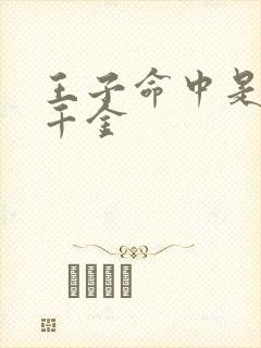 王子命中是恶役千金