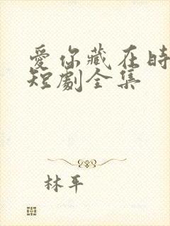 爱你藏在时光里短剧全集封面
