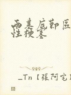 两基底节区腔隙性梗塞封面