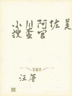 小川阿佐美秘密搜查官封面