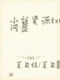 小说资源txt网盘封面