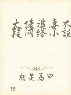 大佬追妻不择手段网络小说