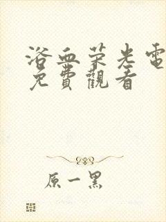 浴血荣光电视剧免费观看