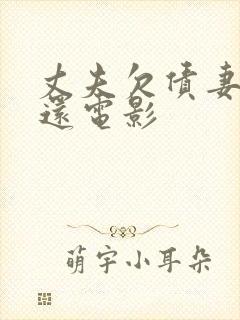 丈夫欠债妻子偿还电影