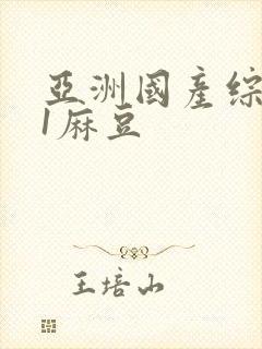 亚洲国产综合91麻豆