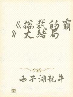 《总裁的霸道爱》大结局